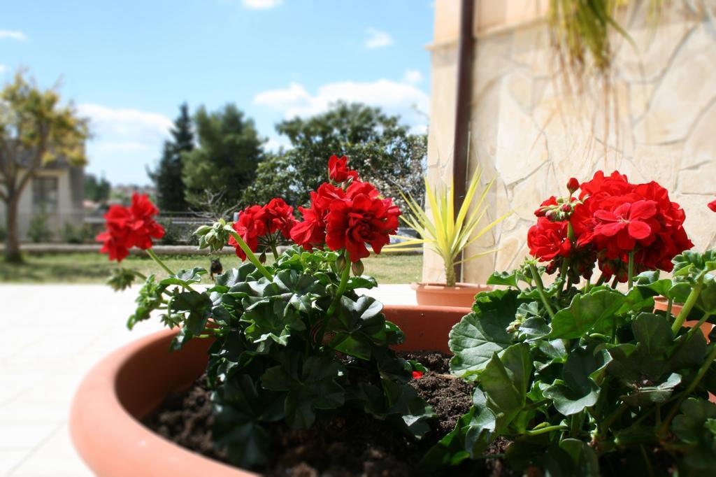 Villa Mara B&B Noto Exteriör bild
