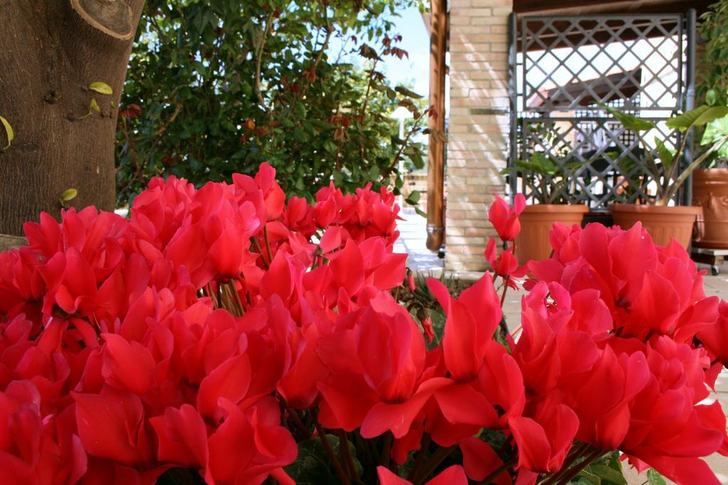 Villa Mara B&B Noto Exteriör bild